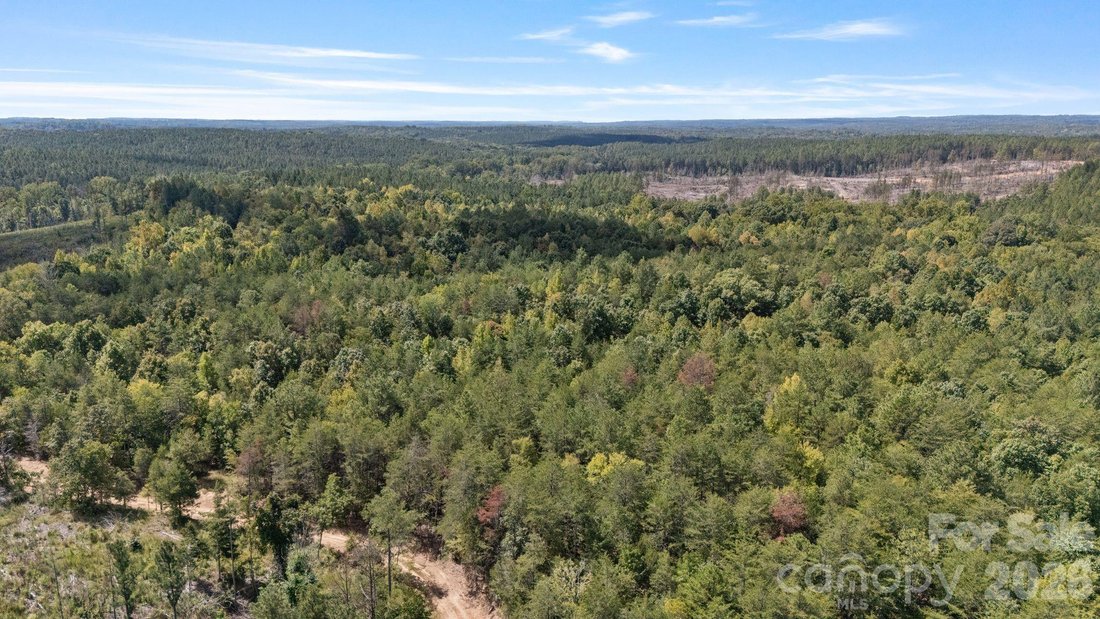 Land in York, South Carolina, Vereinigte Staaten 1 - 18879707