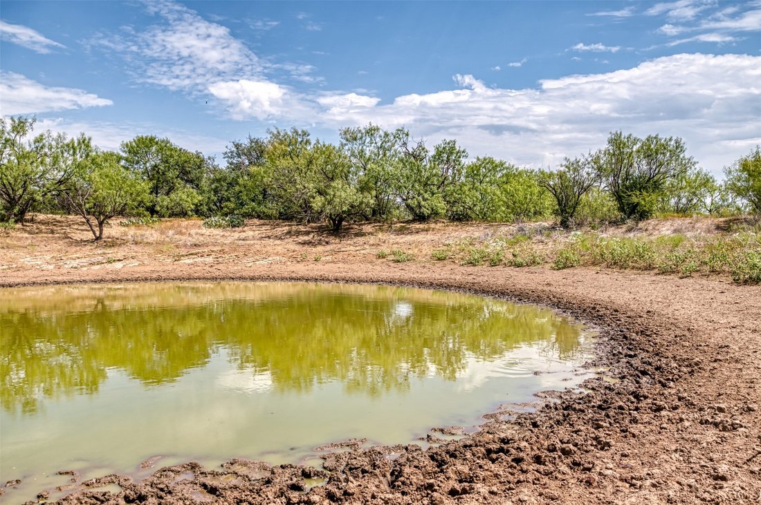 Land in Moran, Texas, United States 4 - 18889794