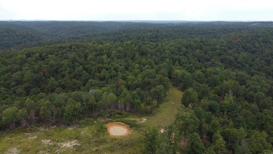 Land in Harriet, Arkansas, United States 3 - 18878944
