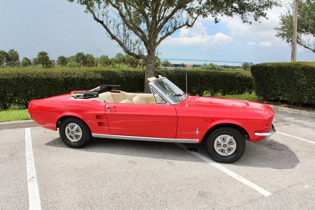 Cabriolet in Sarasota, FL, United States 3 - 18892388
