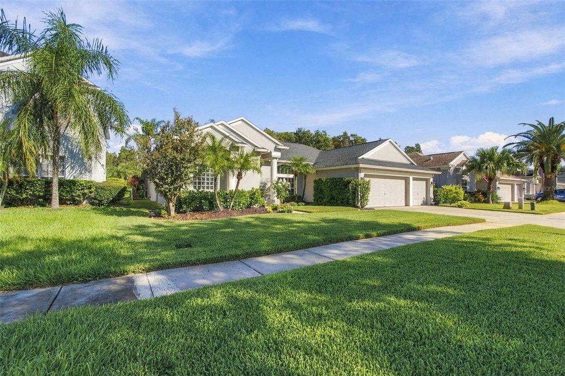 House in Land O' Lakes, Florida, United States 2 - 18889263