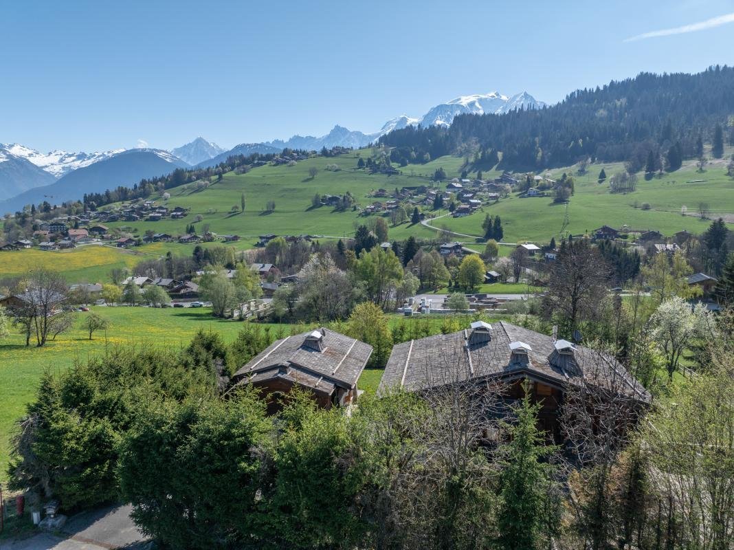 Chalet in Combloux, Auvergne-Rhone-Alpen, Frankreich 2 - 18882079