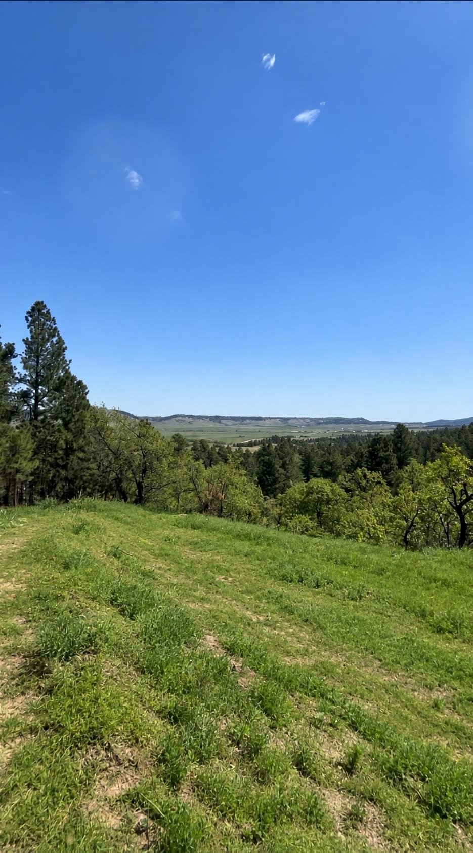 Land in Spearfish, South Dakota, United States 5 - 18764044