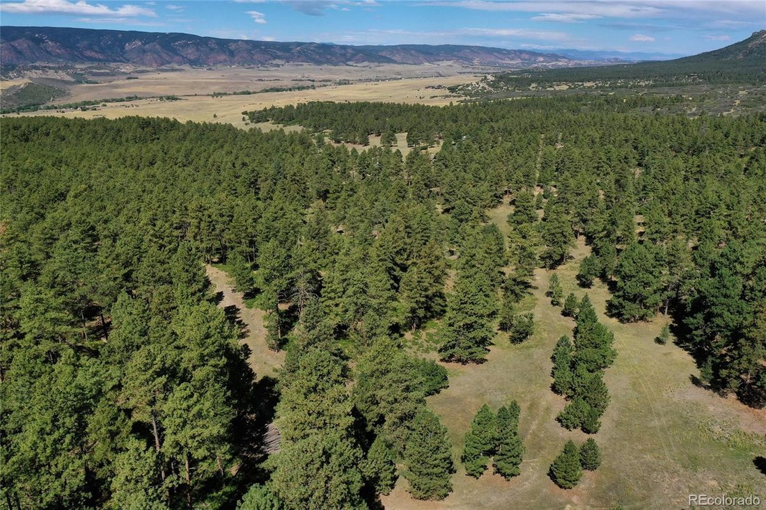 Terreno en Larkspur, Colorado, Estados Unidos 2 - 18879698
