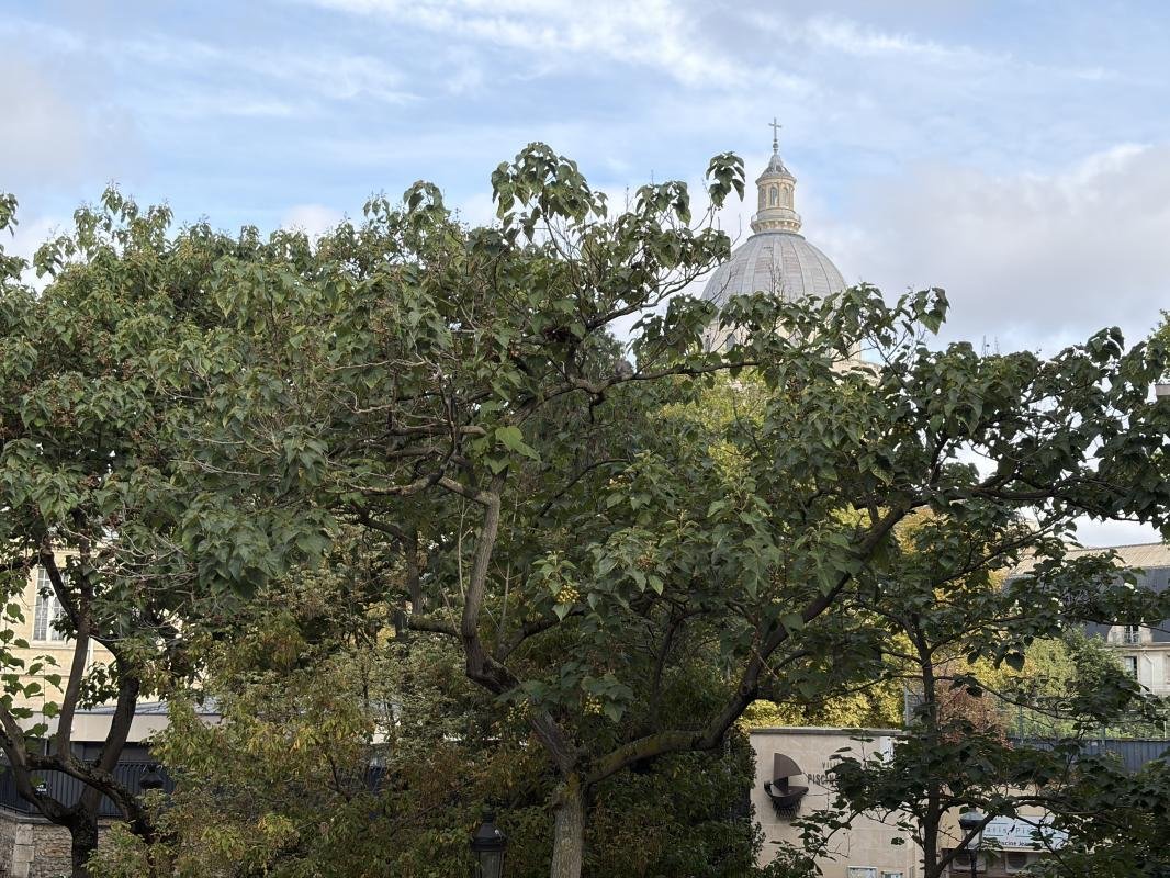 Apartamento en Val de Gracia, Paris 5e Arrondissement, París 2 - 18882142