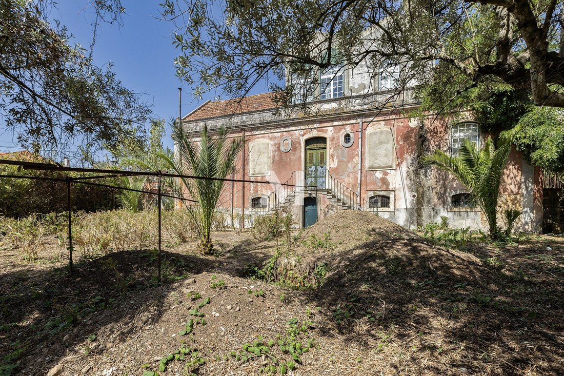 Finca en Massama e Monte Abraao, Distrito de Lisboa, Portugal 4 - 18888734
