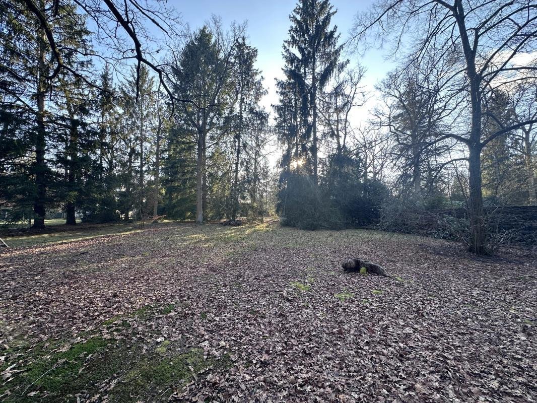 Land in Ouest, Lamorlaye, France 4 - 18883075