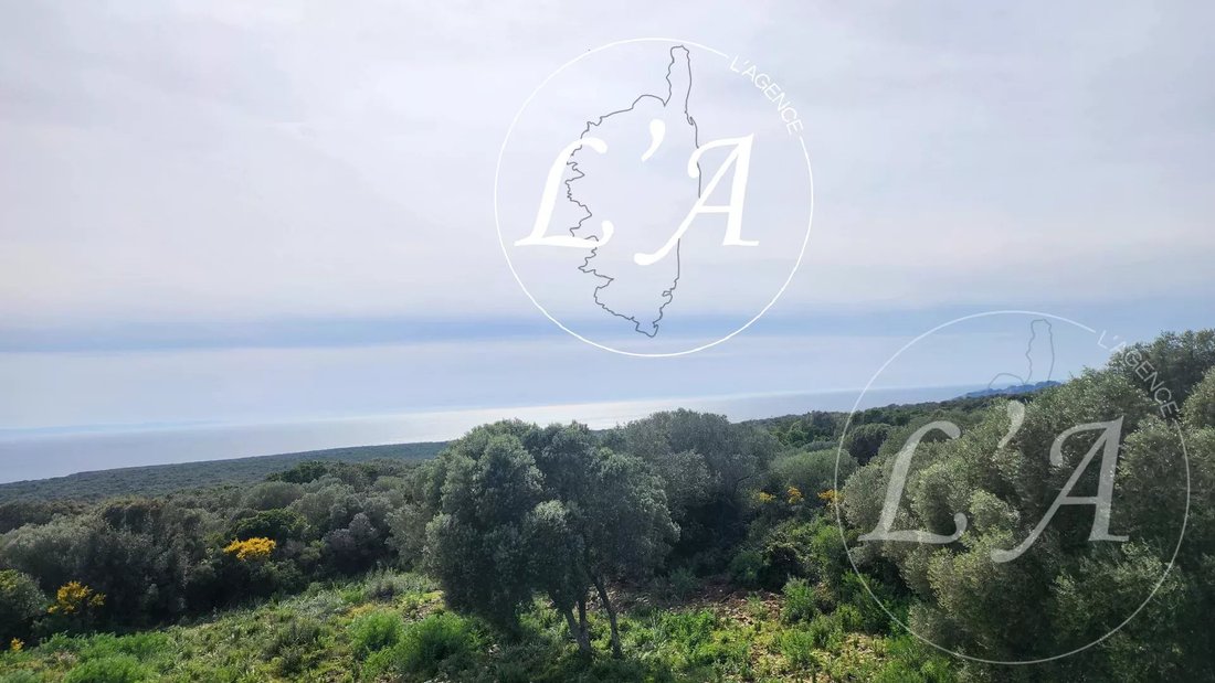 Villa in Bonifacio / Bunifaziu, Korsika, Frankreich 5 - 17670931