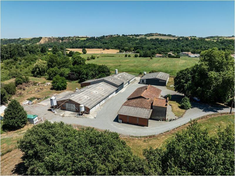 Villa in Carbonne, Occitania, France 1 - 18880936
