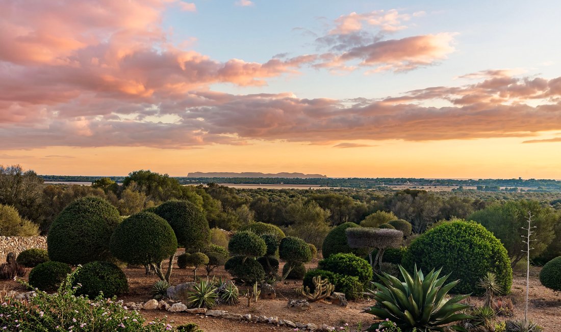 Finca a Ses Salines, Isole Baleari, Spagna 2 - 18843994