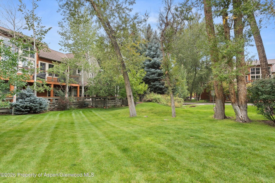 Townhouse in El Jebel, Colorado, United States 3 - 18890640