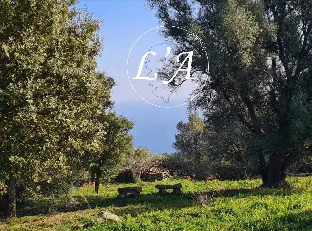 Villa in Sari-Solenzara, Corsica, France 4 - 13392824