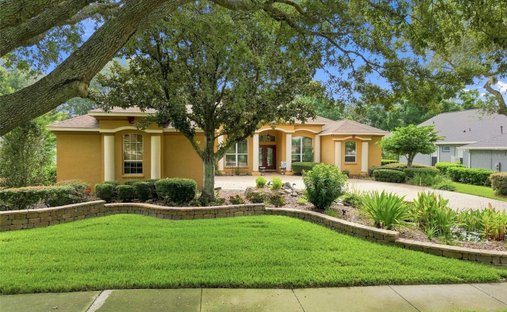 House in Riverview, Florida, United States 1
