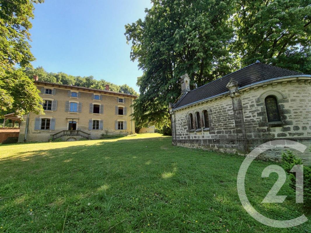 Landhaus in Eyzin-Pinet, Auvergne-Rhone-Alpen, Frankreich 1 - 18881605