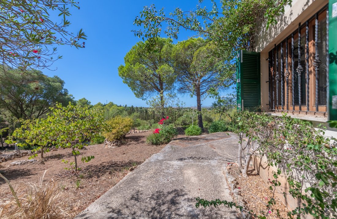 Casa di campagna a Palma di Maiorca, Isole Baleari, Spagna 2 - 18878857