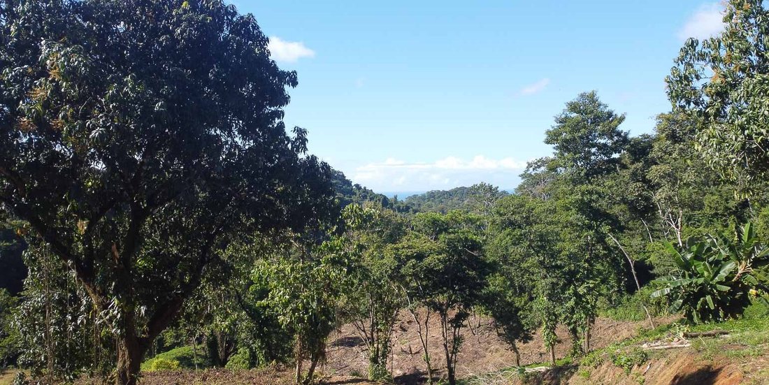 Terreno en Malpaís, Provincia de Puntarenas, Costa Rica 2 - 18820080