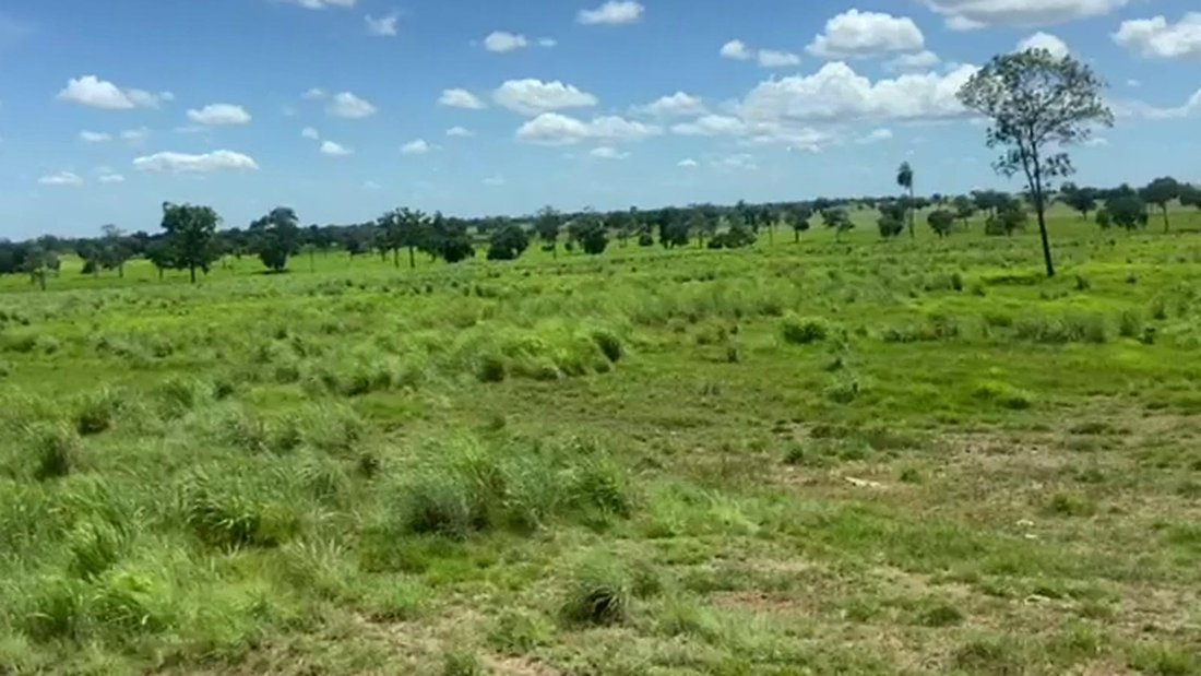 Estate in Iaciara, State of Goiás, Brazil 3 - 18874975