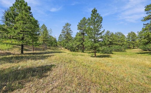 Terreno en Larkspur, Colorado, Estados Unidos 1