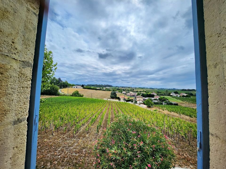 Casa a Saint-Genès-de-Castillon, Nuova Aquitania, Francia 5 - 18881113
