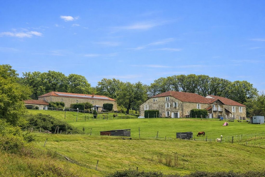 Haus in Availles-Limouzine, Neu-Aquitanien, Frankreich 3 - 18884230