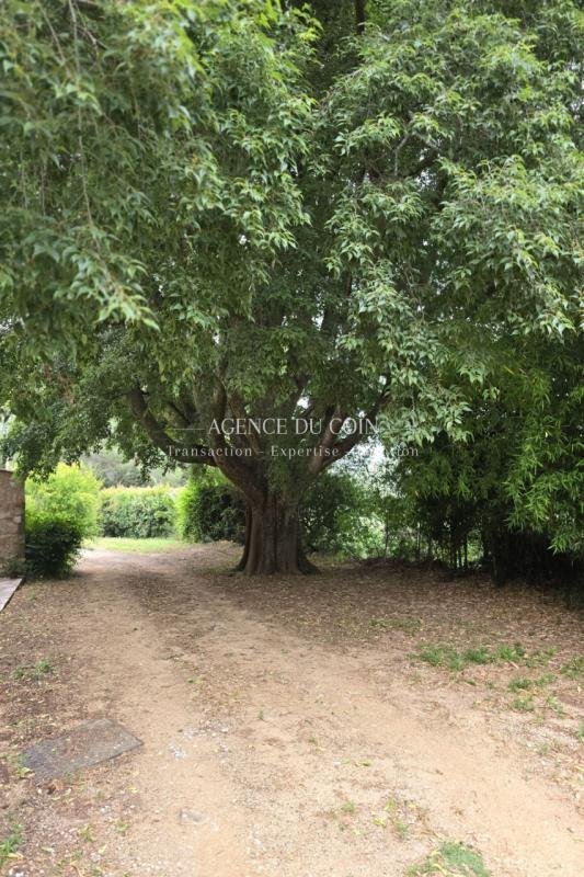 Casa en Grimaud, Provenza-Alpes-Costa Azul, Francia 2 - 18883854