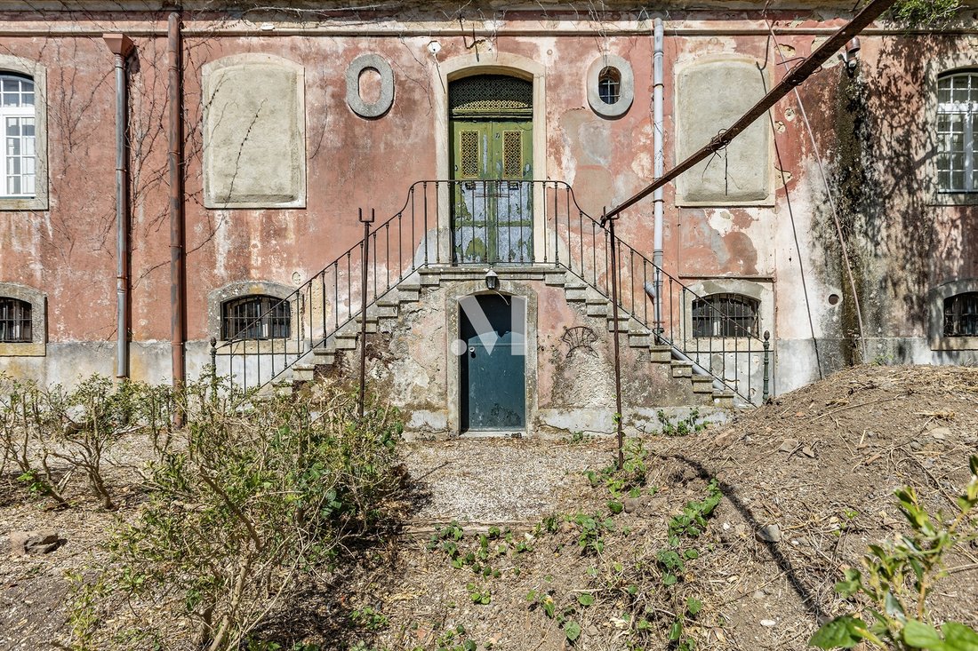 Finca en Massama e Monte Abraao, Distrito de Lisboa, Portugal 5 - 18888734