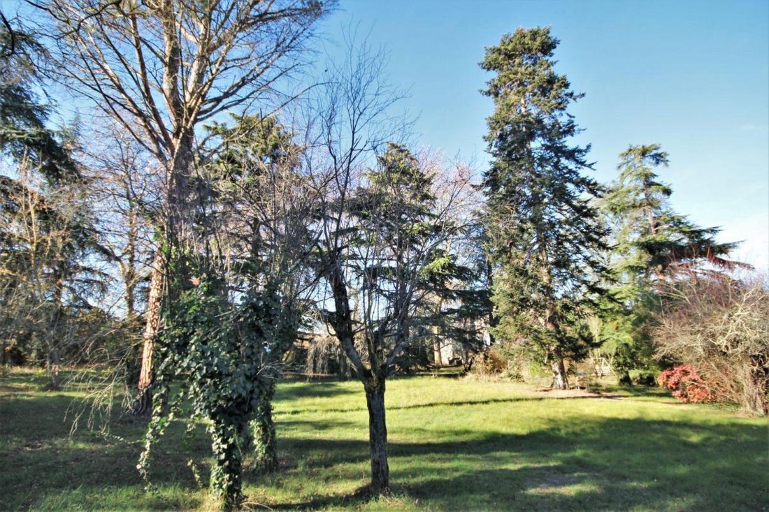 Casa a Nabeillou-La Jonquière, Graulhet, Francia 4 - 18880614