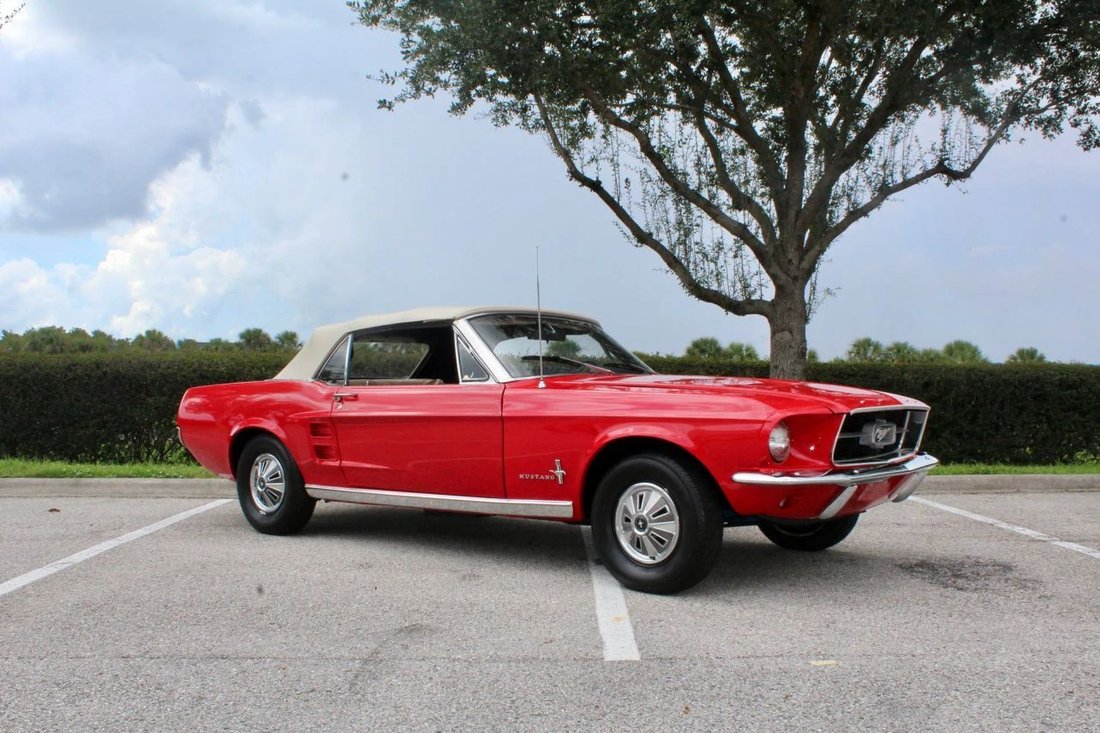 Cabriolet in Sarasota, FL, United States 5 - 18892388