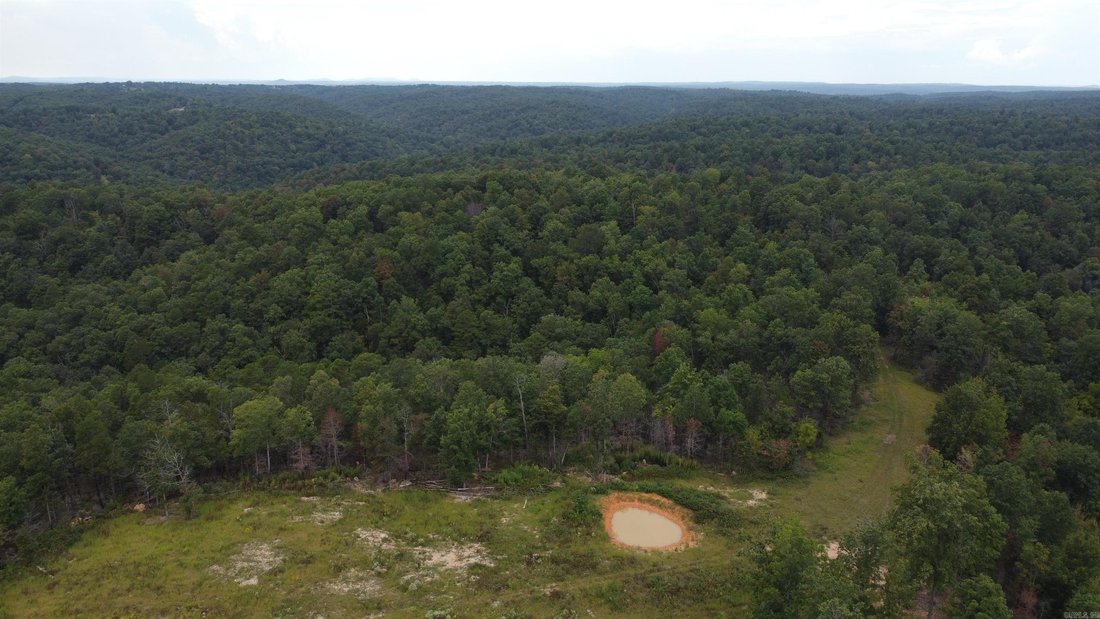 Land in Harriet, Arkansas, United States 4 - 18878944
