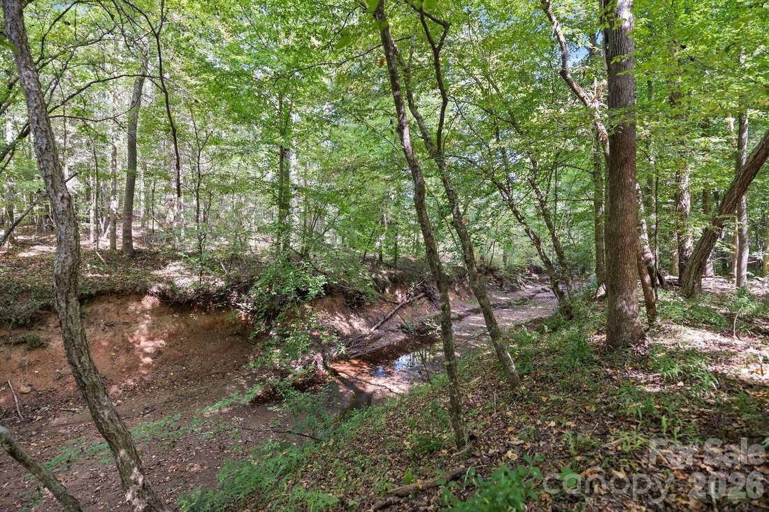 Land in York, South Carolina, Vereinigte Staaten 4 - 18879707