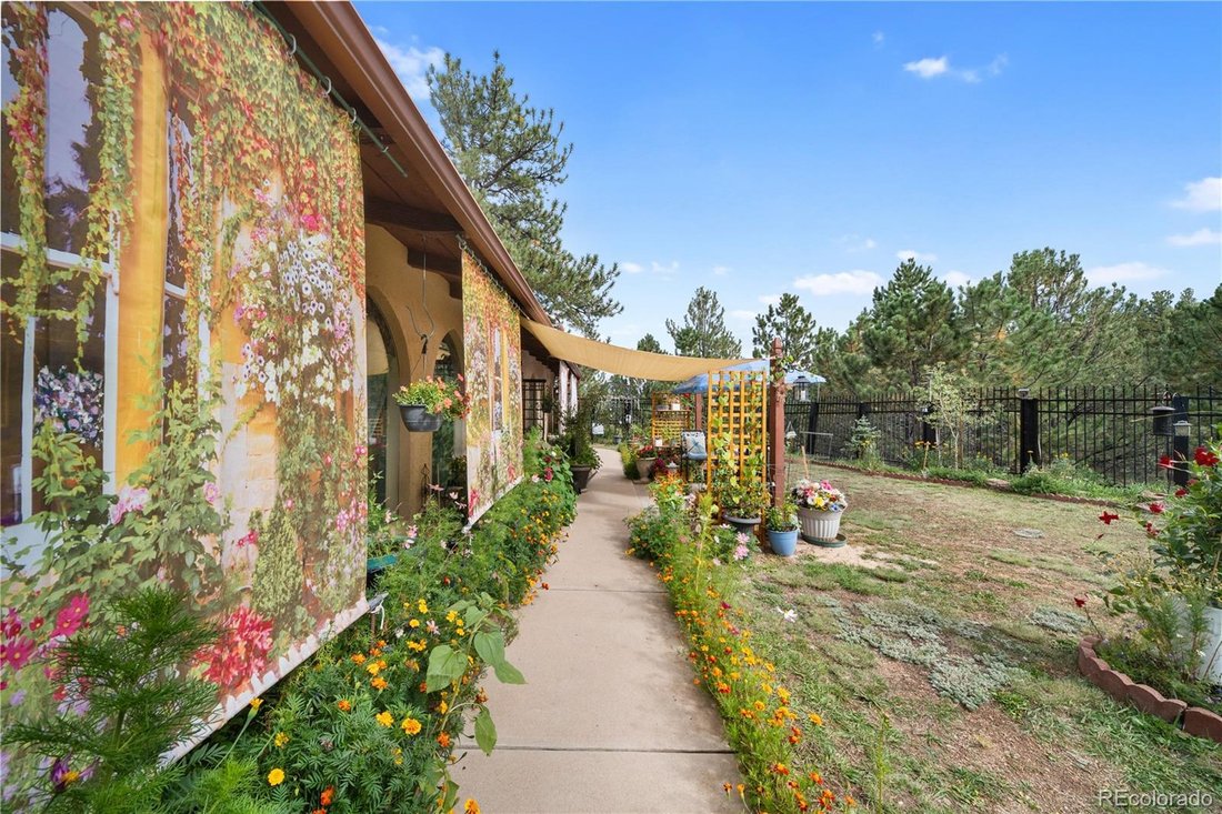 House in Bailey, Colorado, United States 3 - 18889253