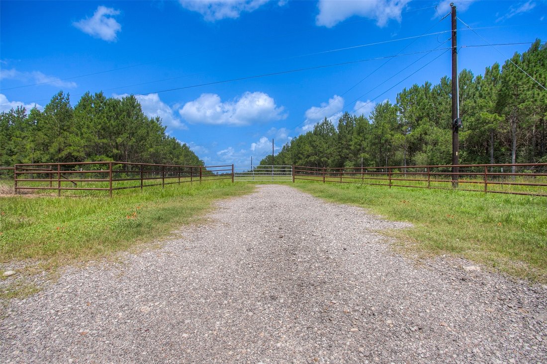 Land in Huntsville, Texas, United States 3 - 18879663