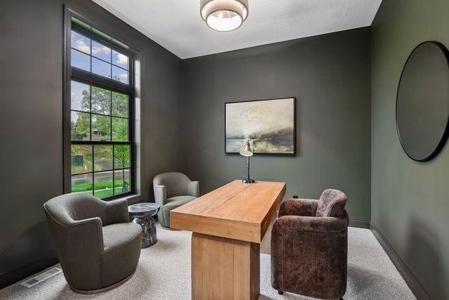 House in Chanhassen, Minnesota, United States 4 - 17987005