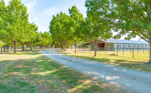 Azienda agricola a Pilot Point, Texas, Stati Uniti 1