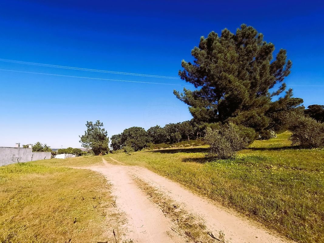 Terrain à Carregueira, District de Santarém, Portugal 1 - 18879405