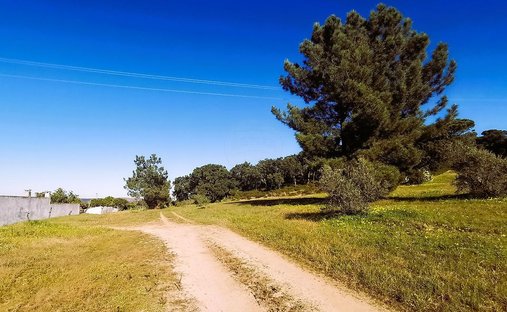 Terreno a Carregueira, Distretto di Santarém, Portogallo 1