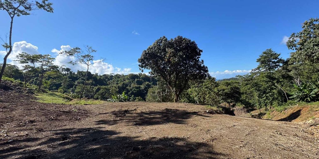 Terreno en Malpaís, Provincia de Puntarenas, Costa Rica 5 - 18820080