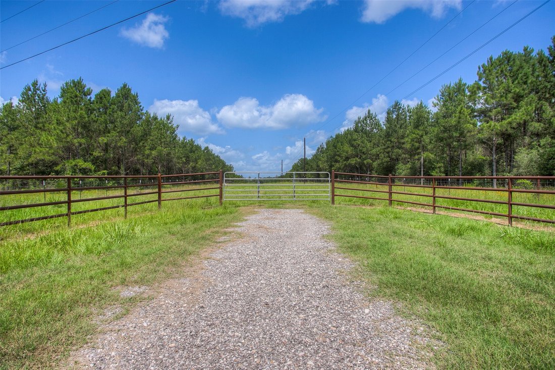 Land in Huntsville, Texas, United States 1 - 18879663