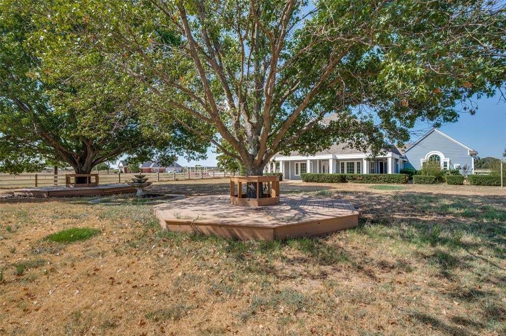 Azienda agricola a Pilot Point, Texas, Stati Uniti 2 - 18890133