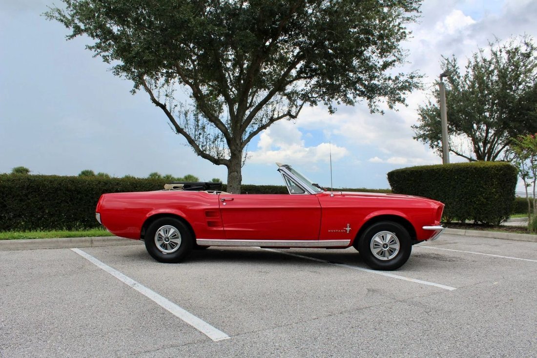 Cabriolet in Sarasota, FL, United States 4 - 18892388