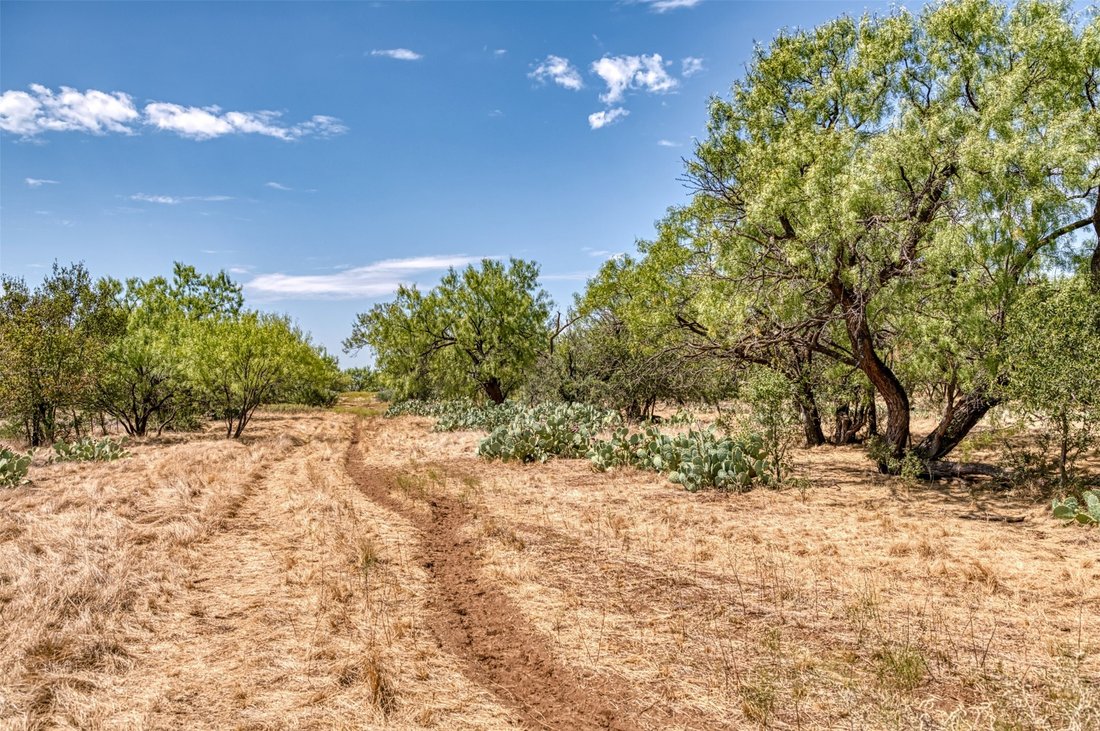 Land in Moran, Texas, United States 5 - 18889794