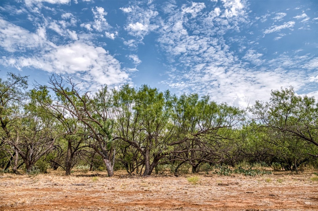 Land in Moran, Texas, United States 2 - 18889794