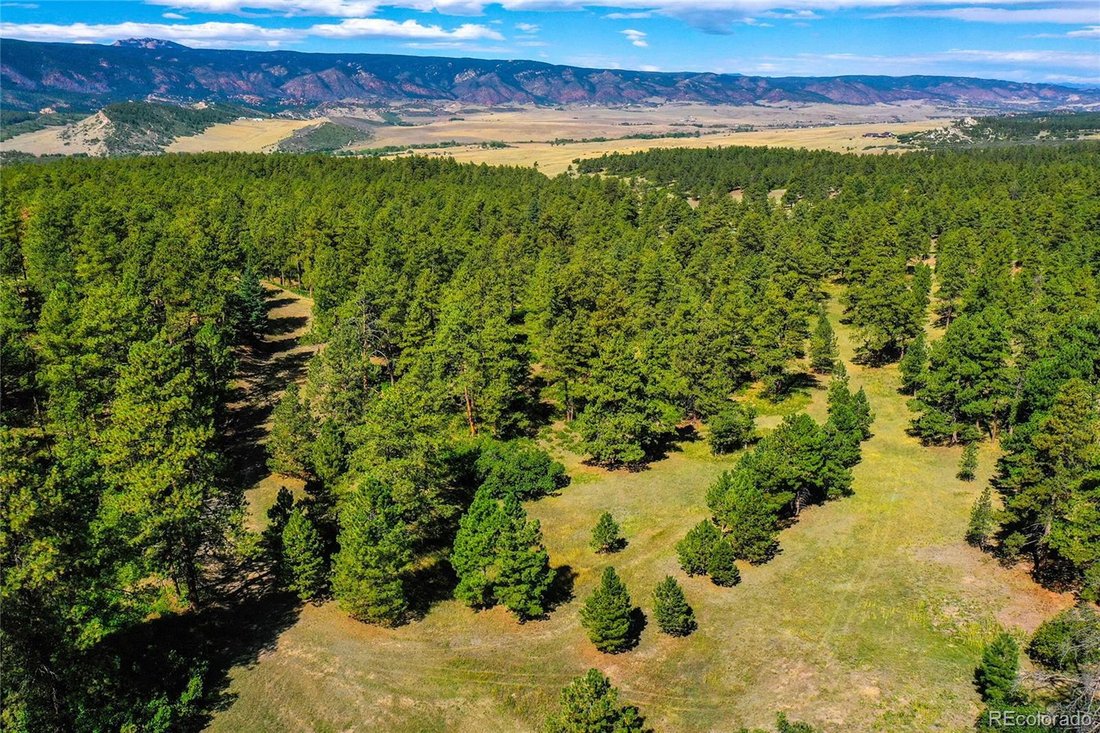 Terreno en Larkspur, Colorado, Estados Unidos 4 - 18879698