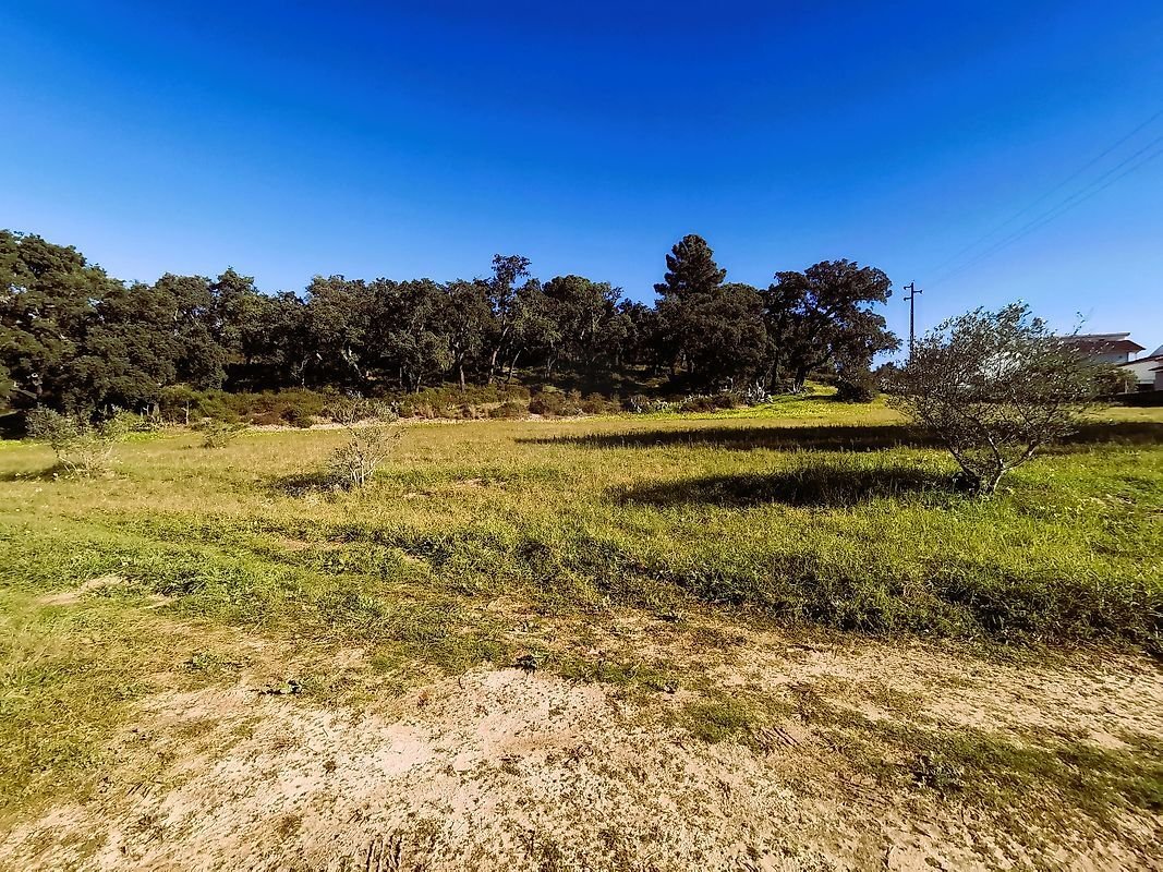 Terrain à Carregueira, District de Santarém, Portugal 2 - 18879405