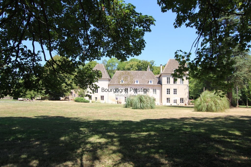Château à Centre Ville, Tournus, France 2 - 18882153