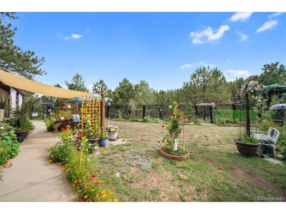 House in Bailey, Colorado, United States 4 - 18888971