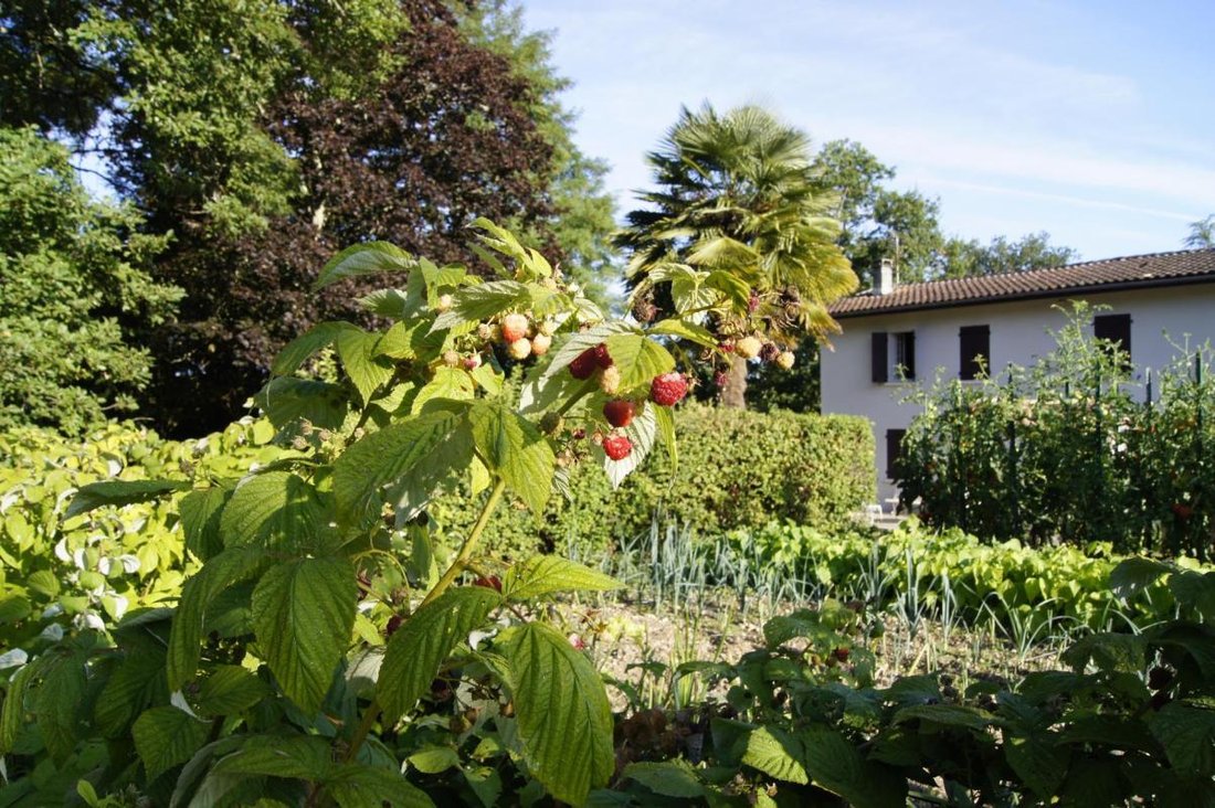 Maison à Croignon, Nouvelle-Aquitaine, France 5 - 18883486