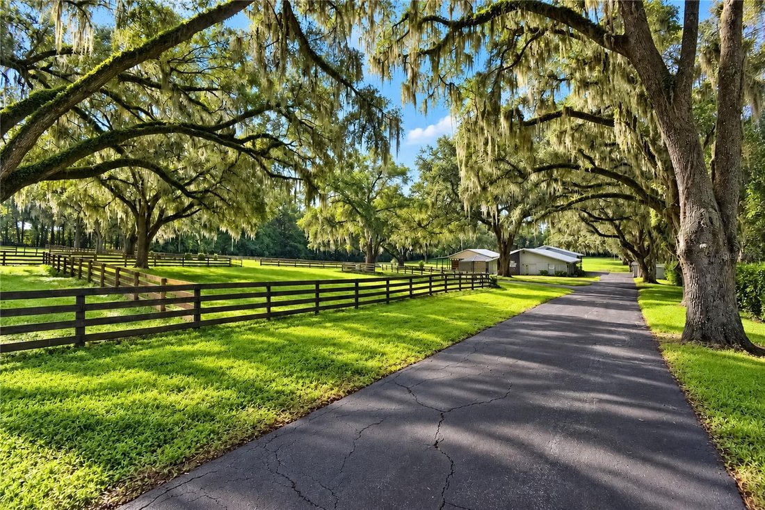 Farm Ranch in Ocala, Florida, United States 4 - 18889125