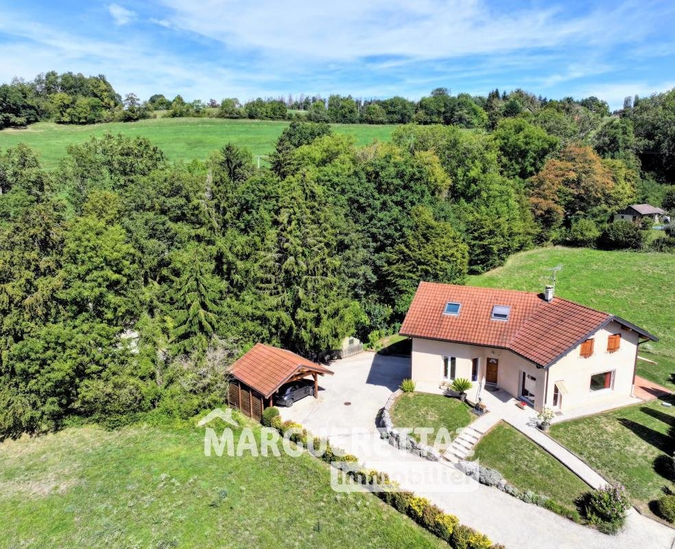 Villa in Faucigny, Auvergne-Rhone-Alpen, Frankreich 2 - 18882768