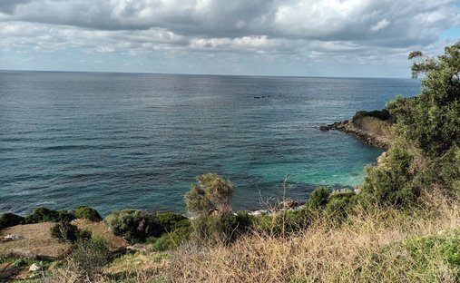 Terrain à Meliteieis, Peloponnese, Western Greece and the Ionian, Grèce 1